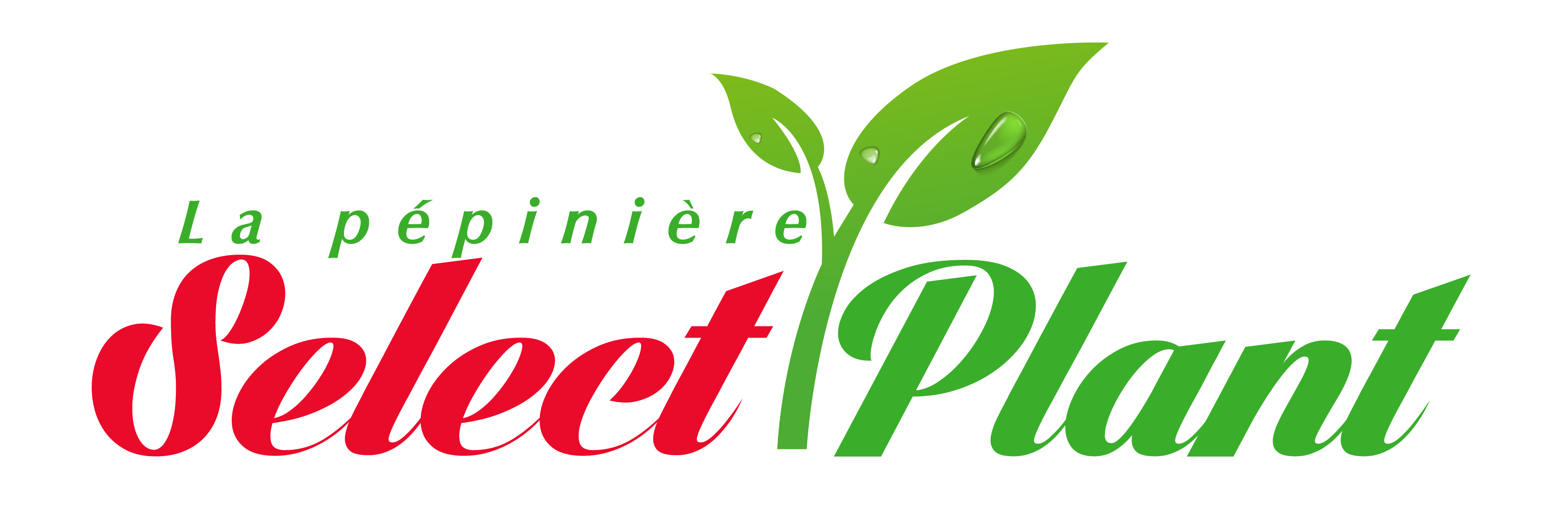 Sélection variétale